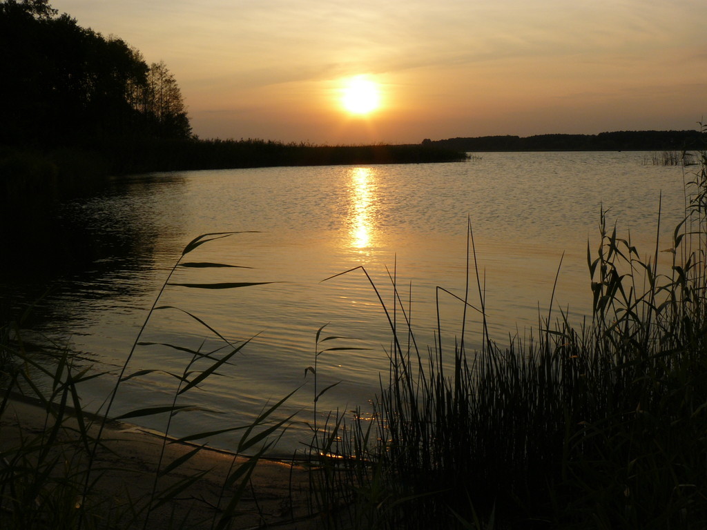 Mazury