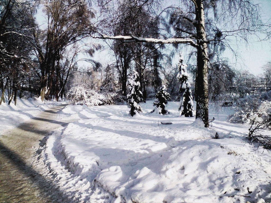 Zima :)