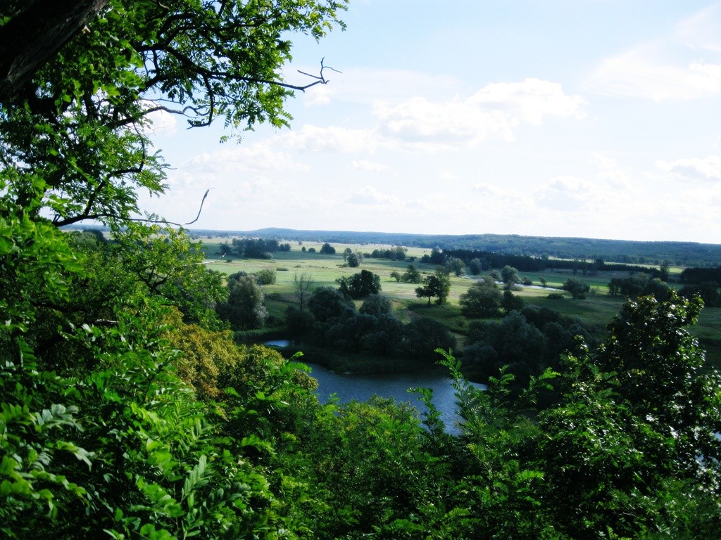 odra.