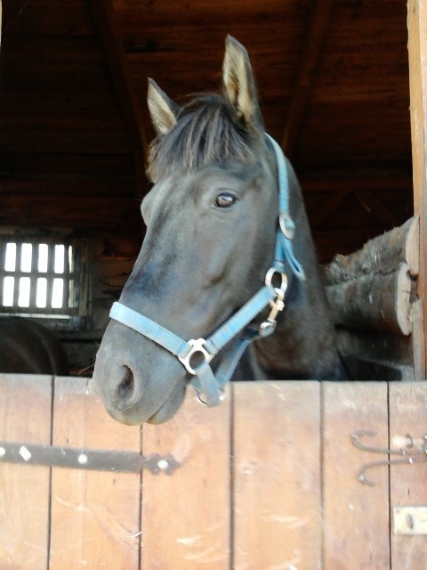 koniuu ;***