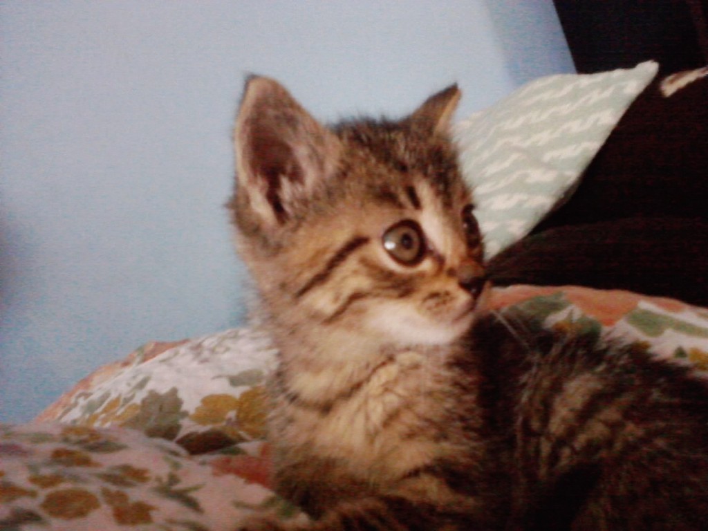 Lucjan :D