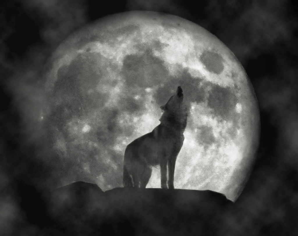 The Secret Night