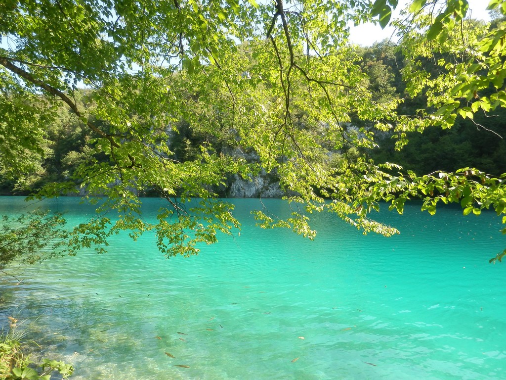 Szmaragdowa woda...