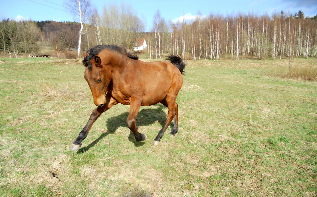 Helios ;)