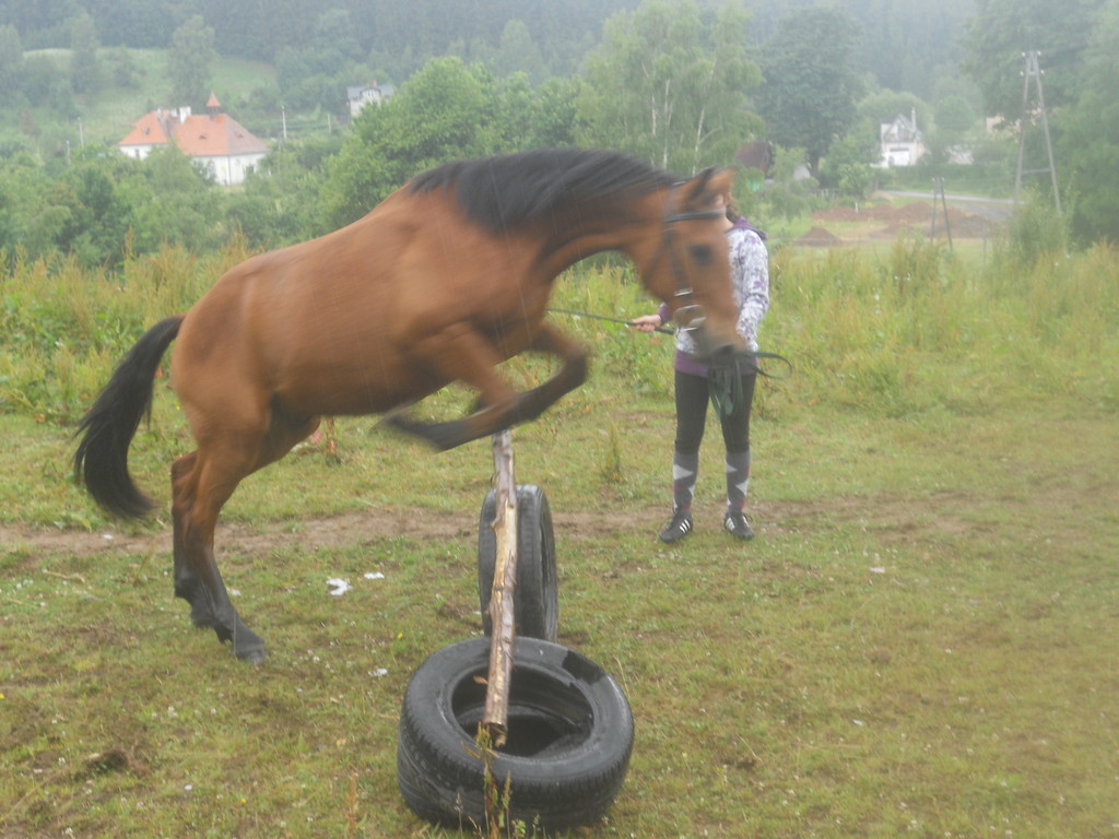 Trening ;)