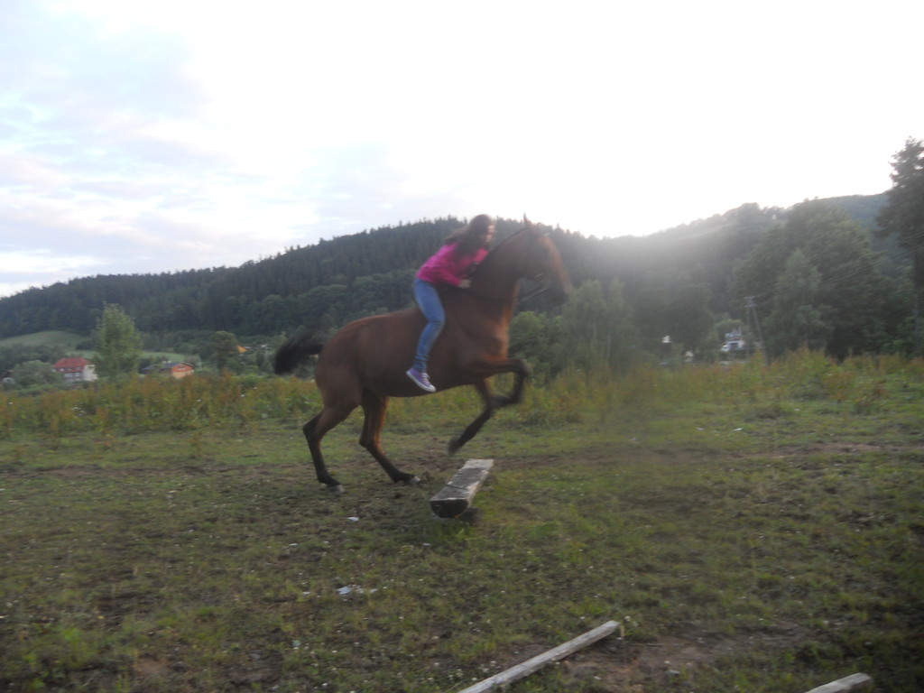 Harfa ;D