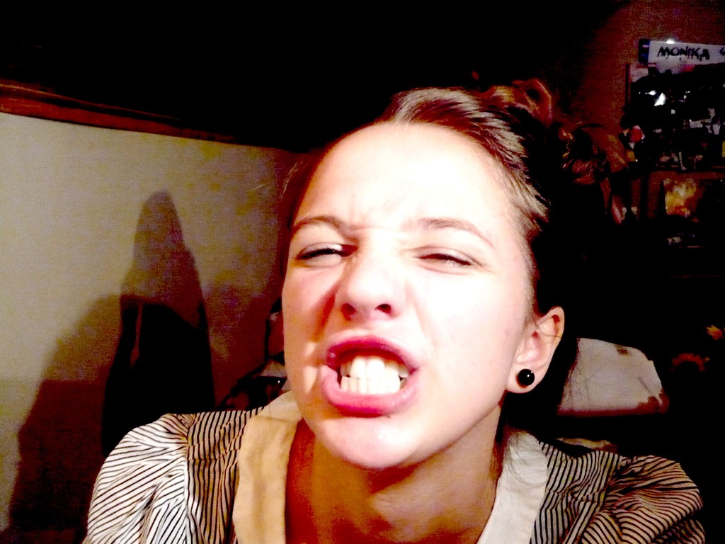 morda psie