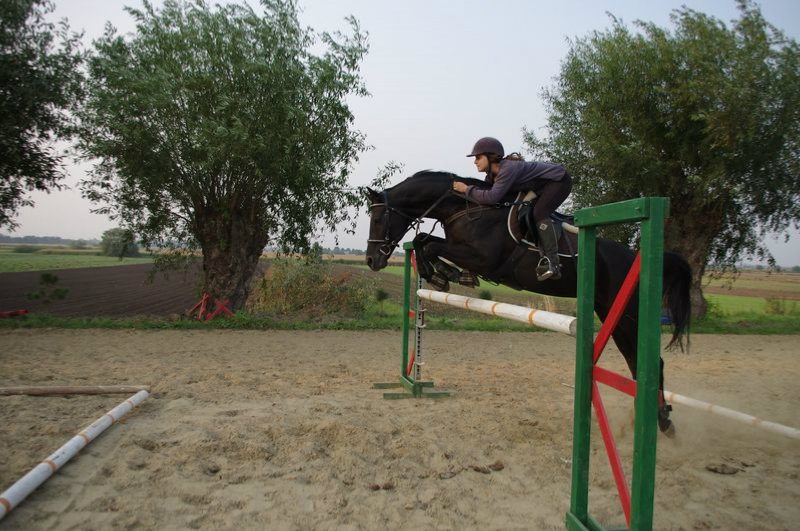 Mj skarbek :*