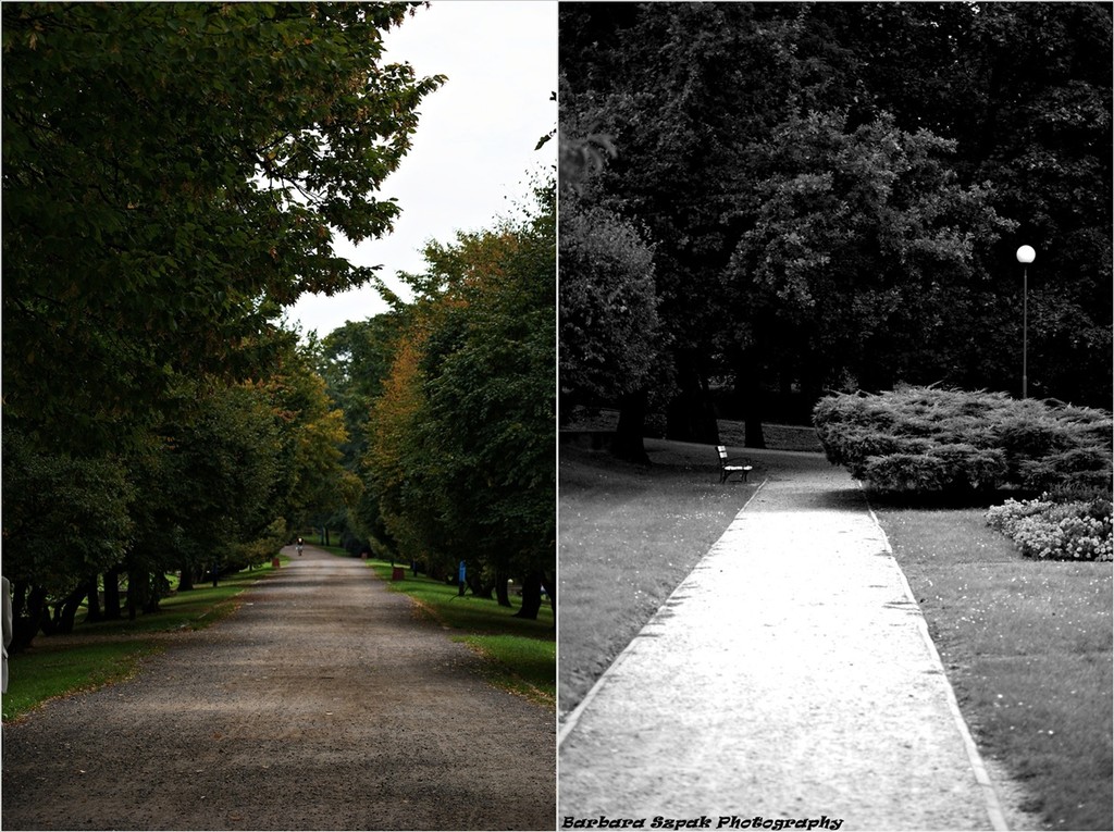 Legnica - Park