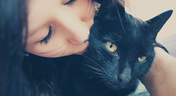 meow