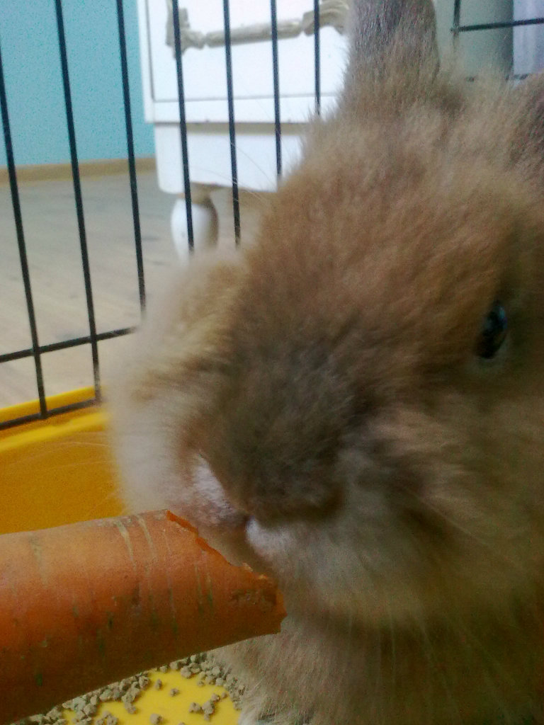 Cycu ;*