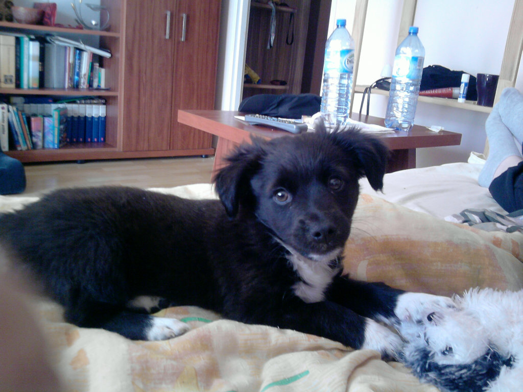 Moje mae ;]