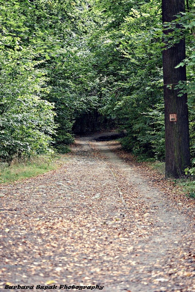 Road