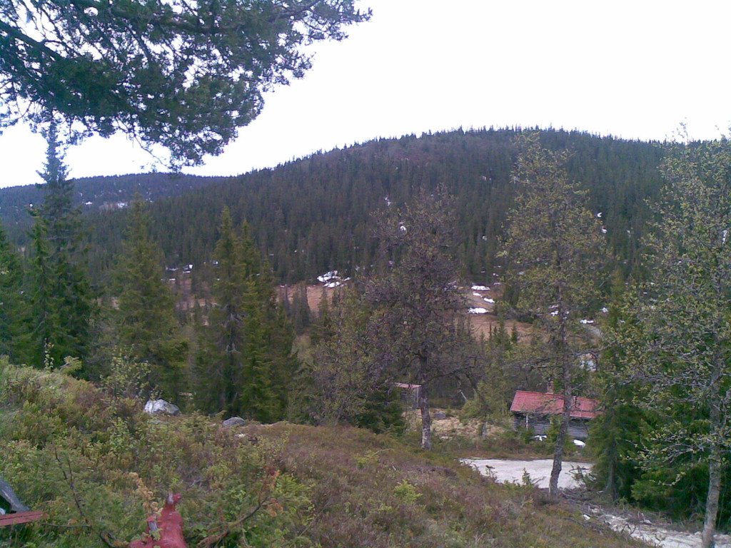 polnoc