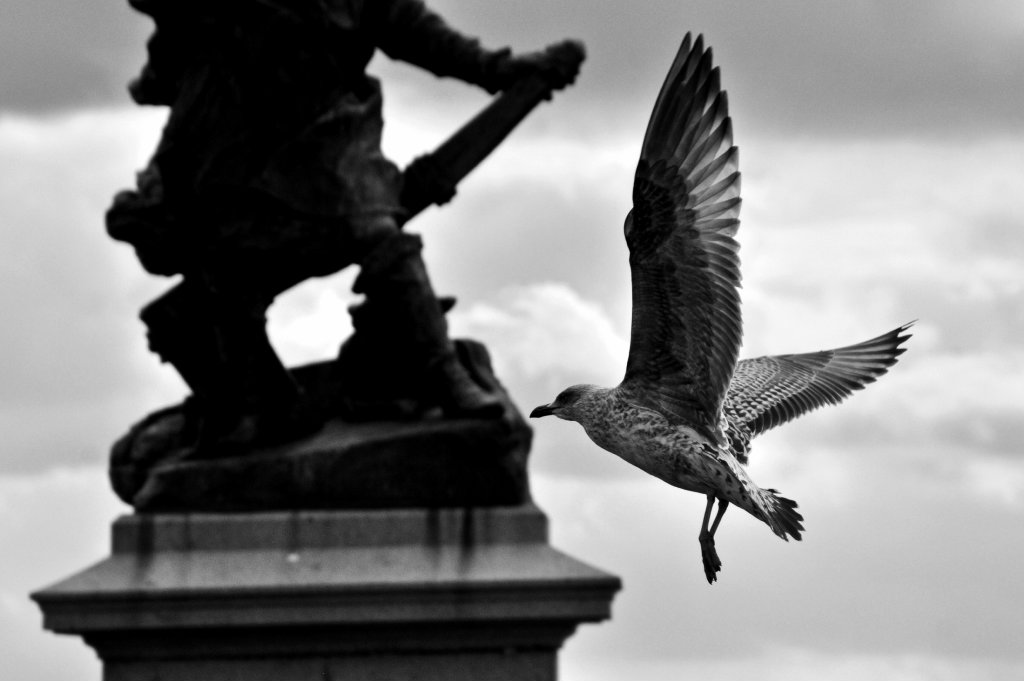 I wanna fly.