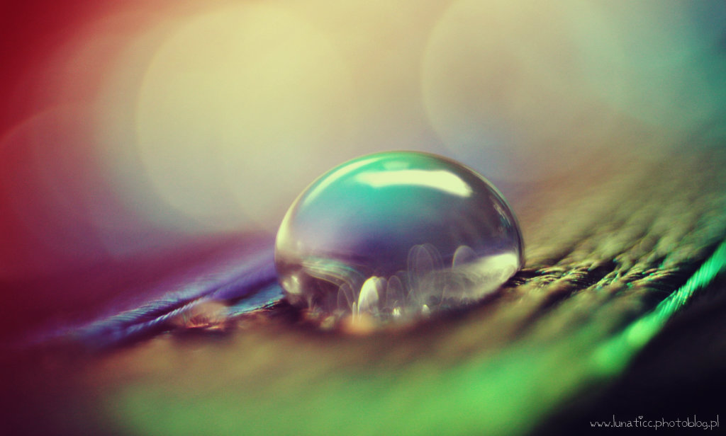 Drop