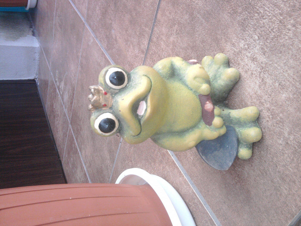 abolud xd.