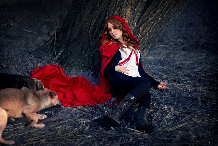 red and dog