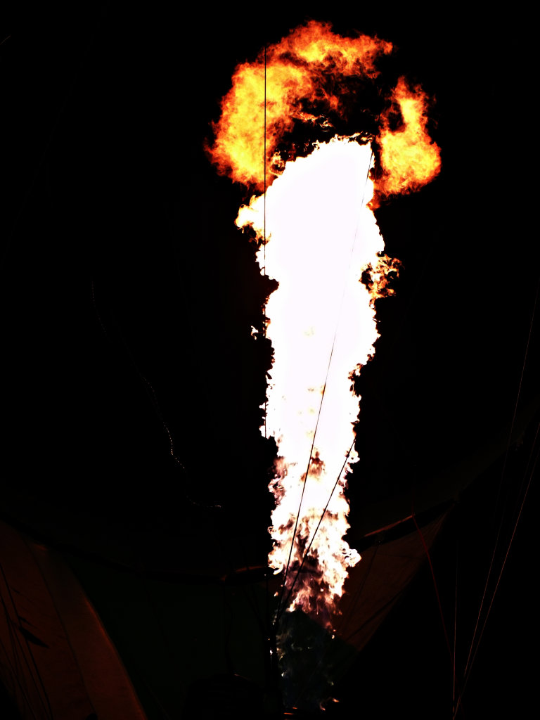 firee.
