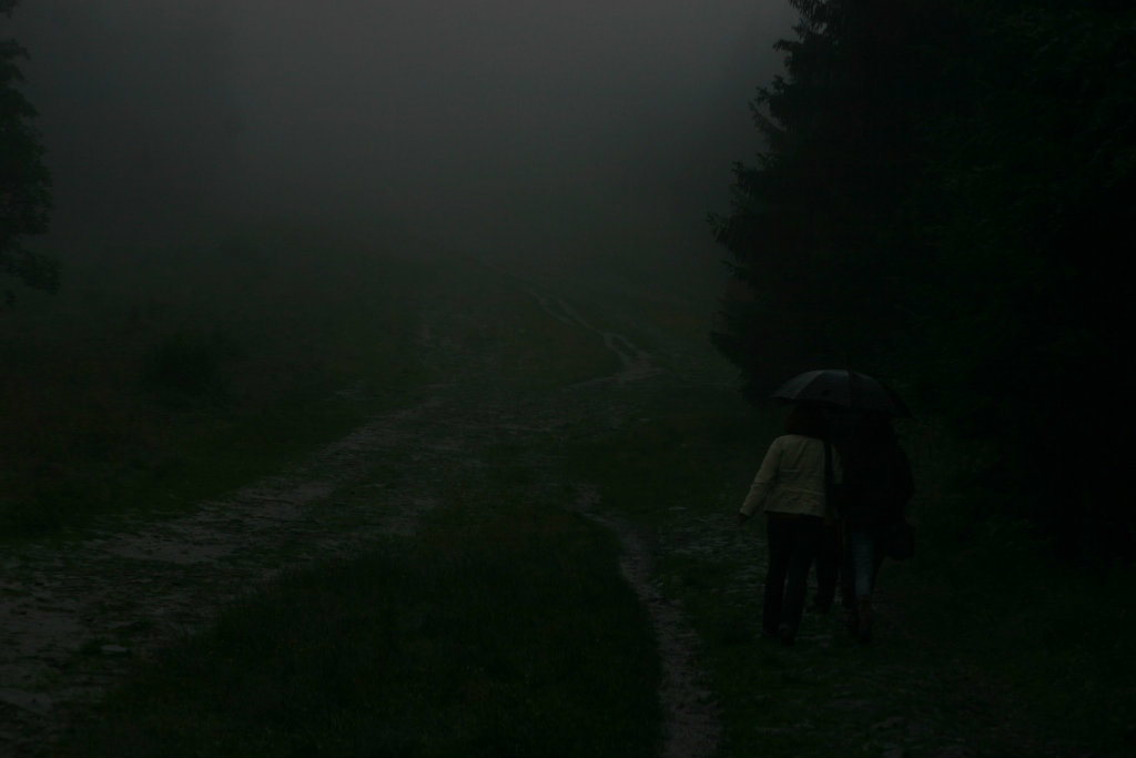 Misty Mountain Hop