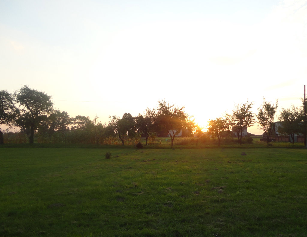 Sunrise