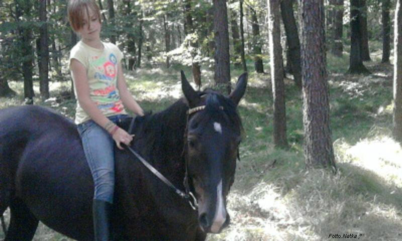 Lasek :D