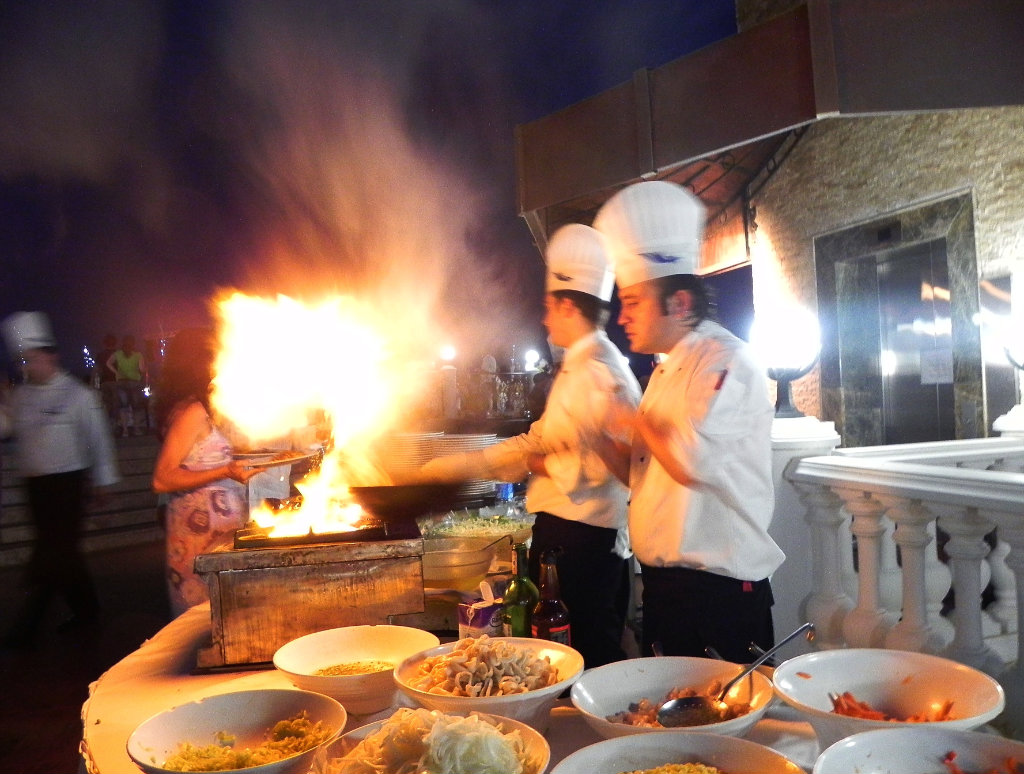Turkiye 2011
