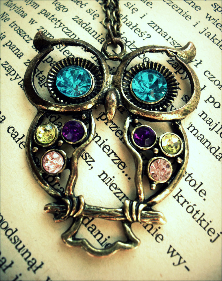owl