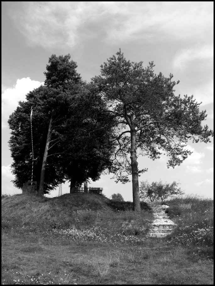 Wizna 2010