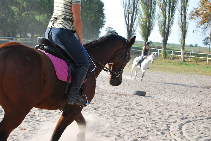 Fot Klaudia Zieliska