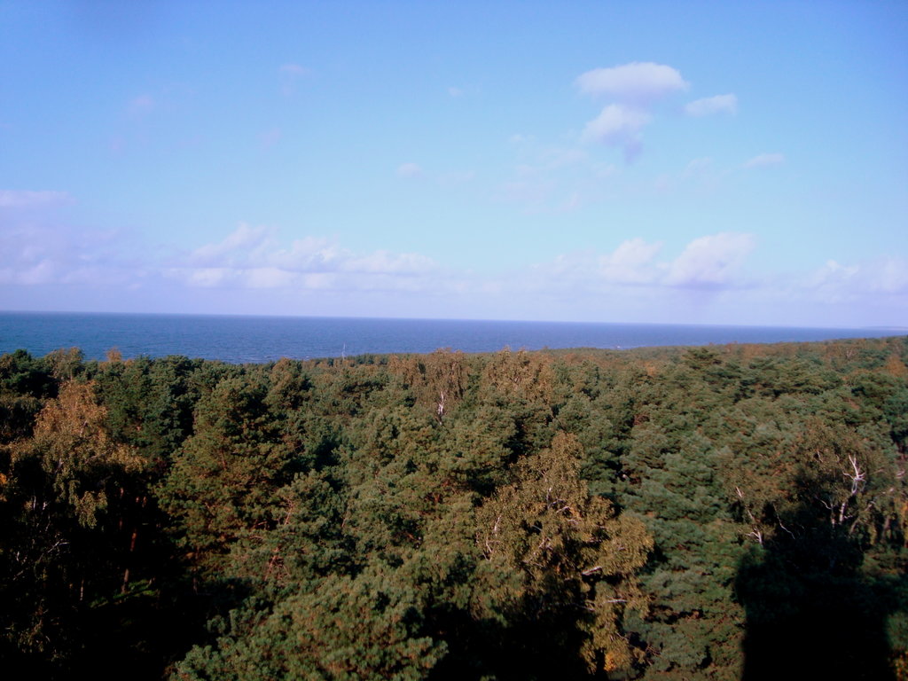 Krynica Morska