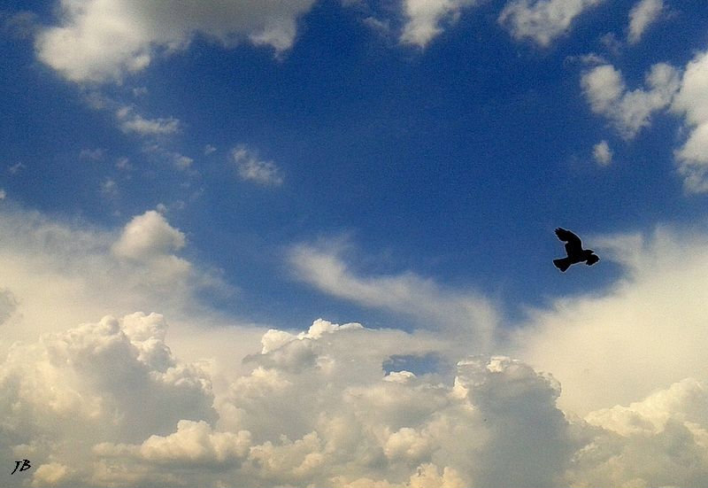 I just want to fly...