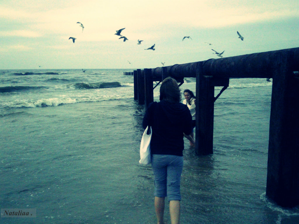 morze ; ( . 