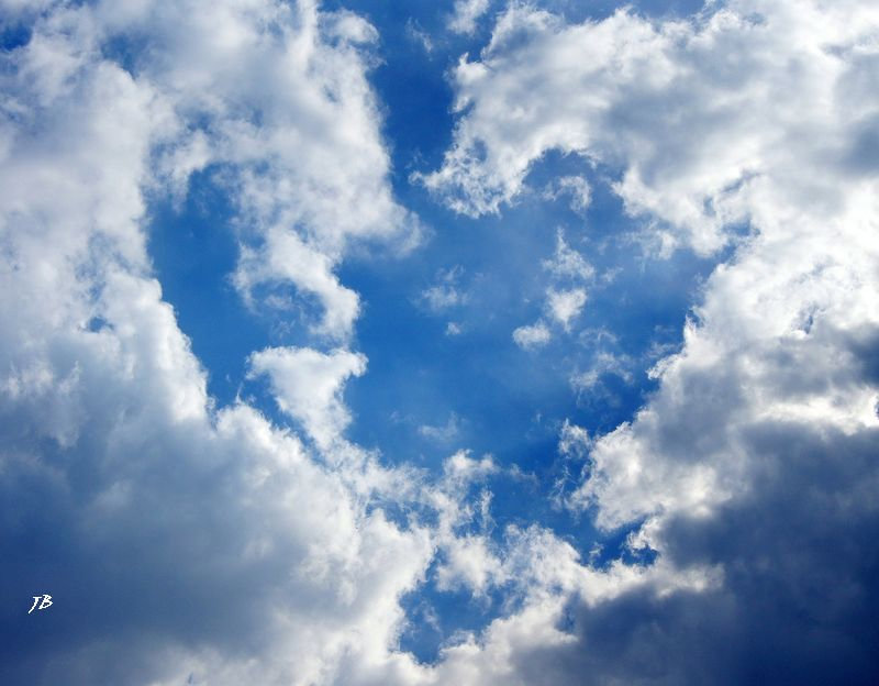 shape of my heart