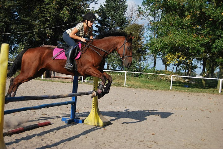 Fot Klaudia Zieliska