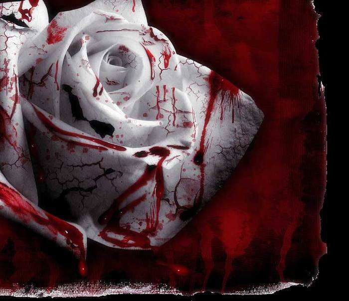 roza