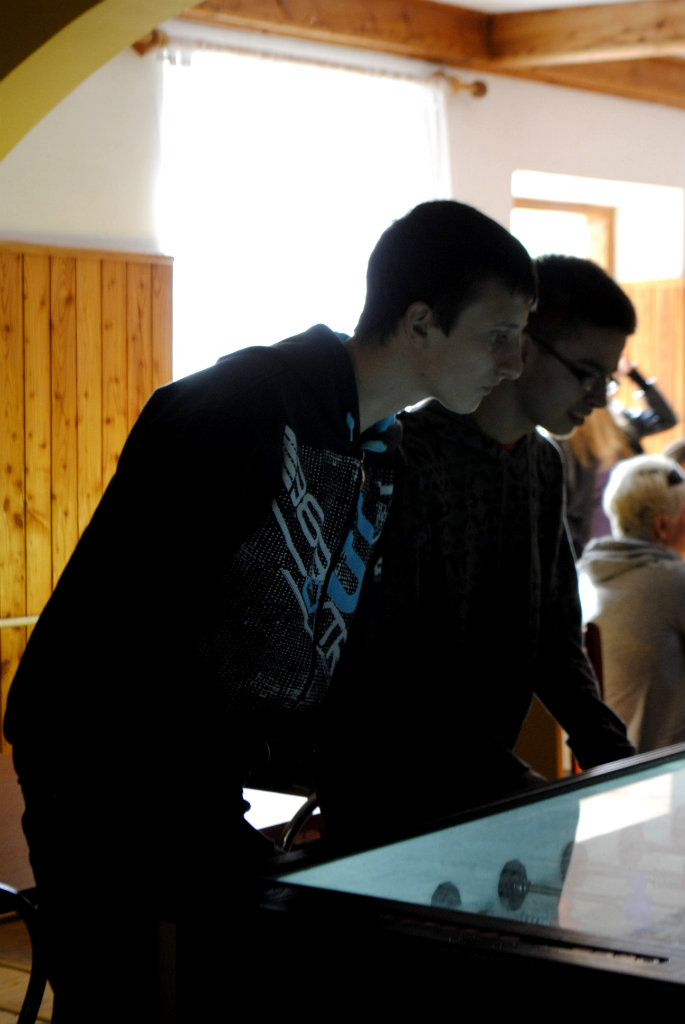 Jansa i ja;p