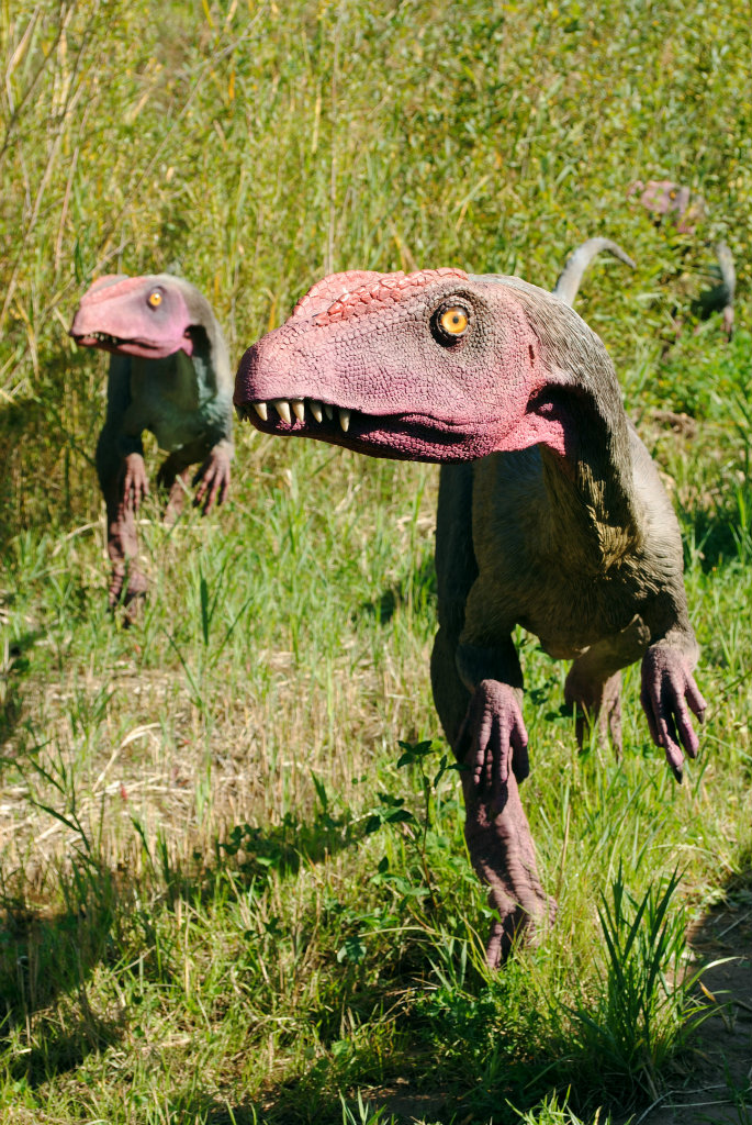 dino