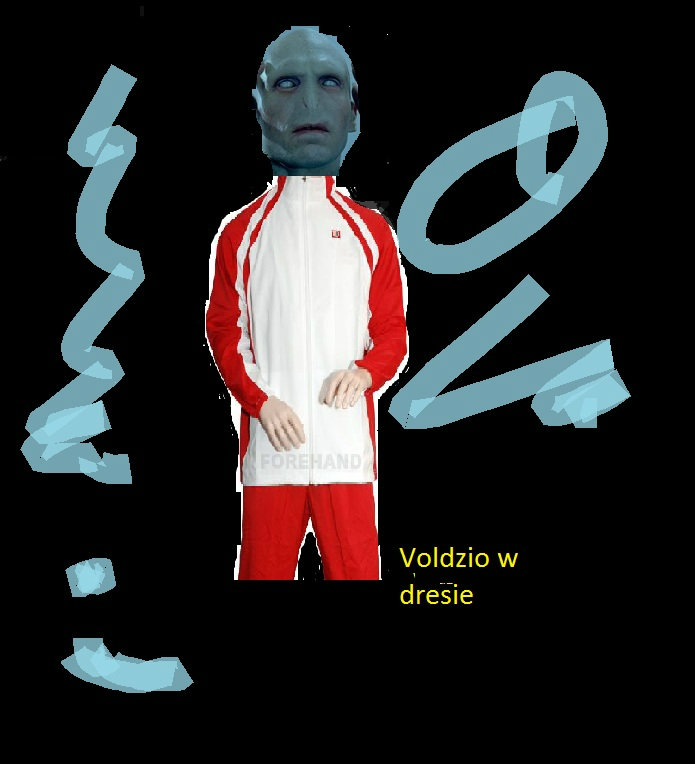 Voldzio