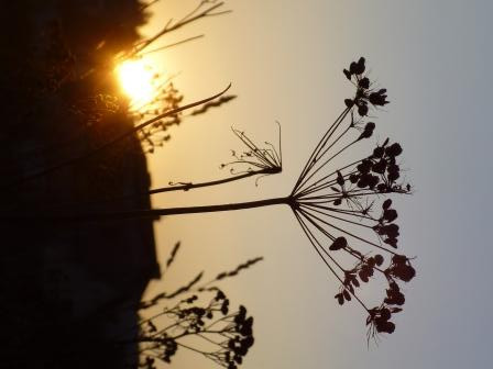 Jak natura chciaa.;D