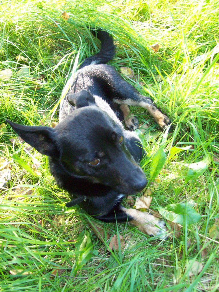 Oskar