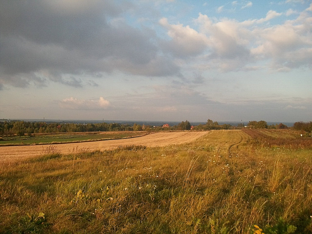 fields.