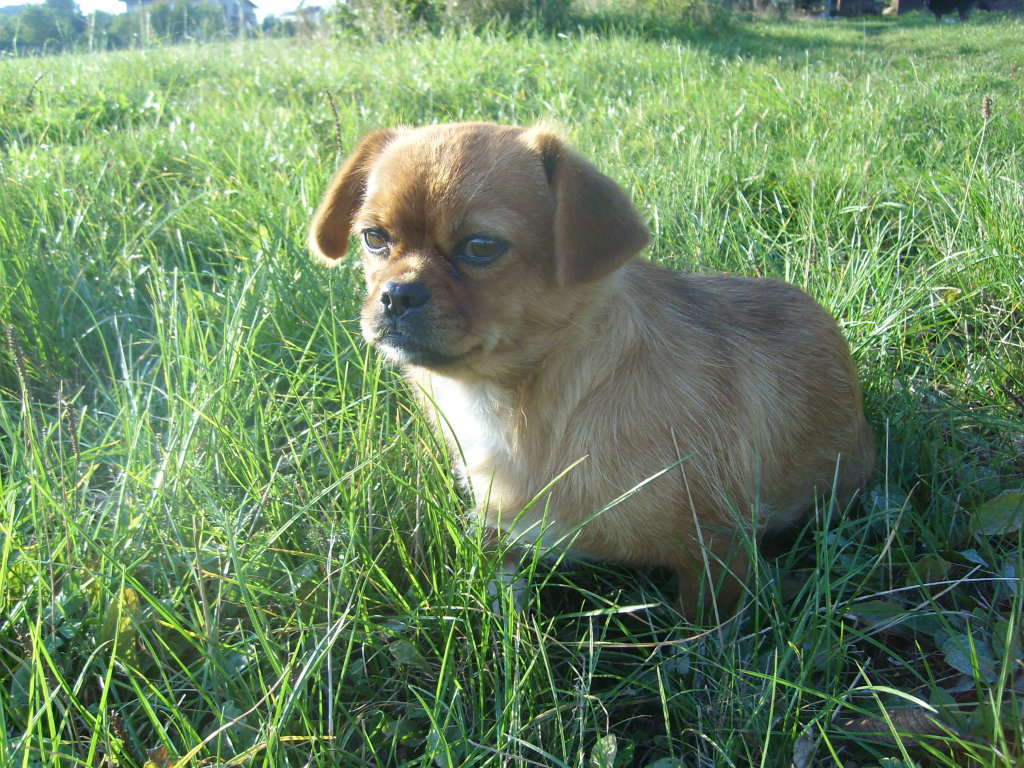 Sonia 