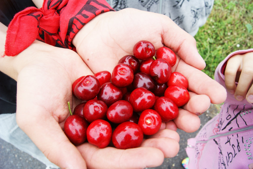 Cherries