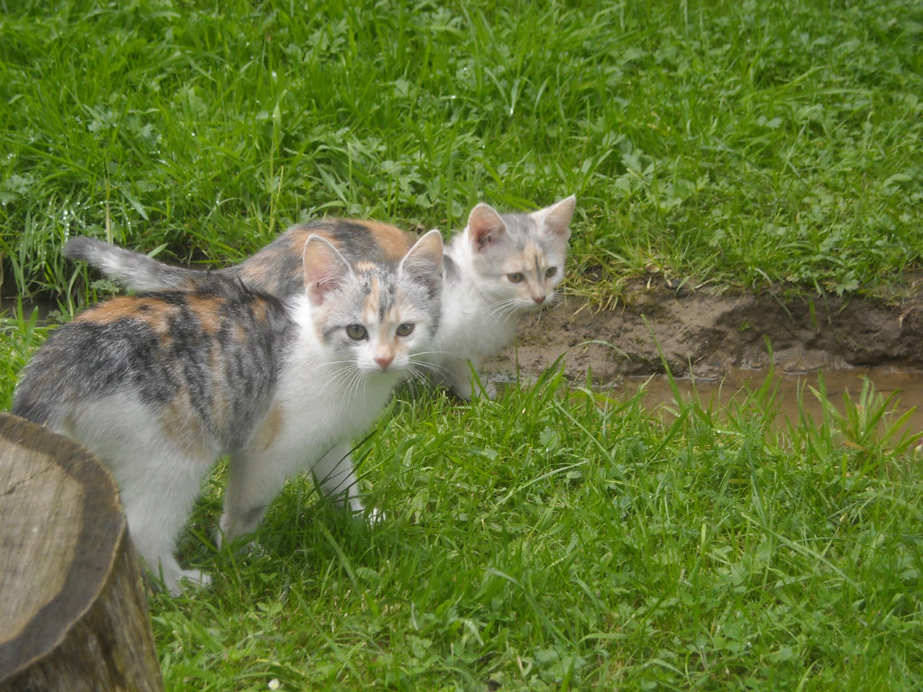 halinka i ferdu :)