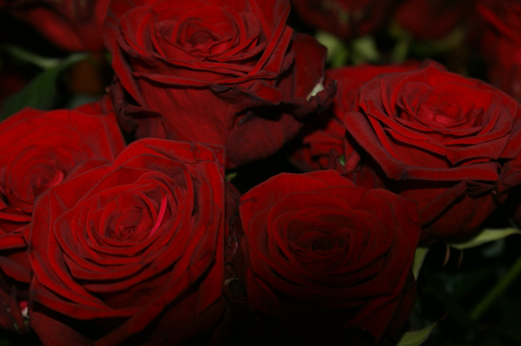 Bon Jovi - Bed Of Roses