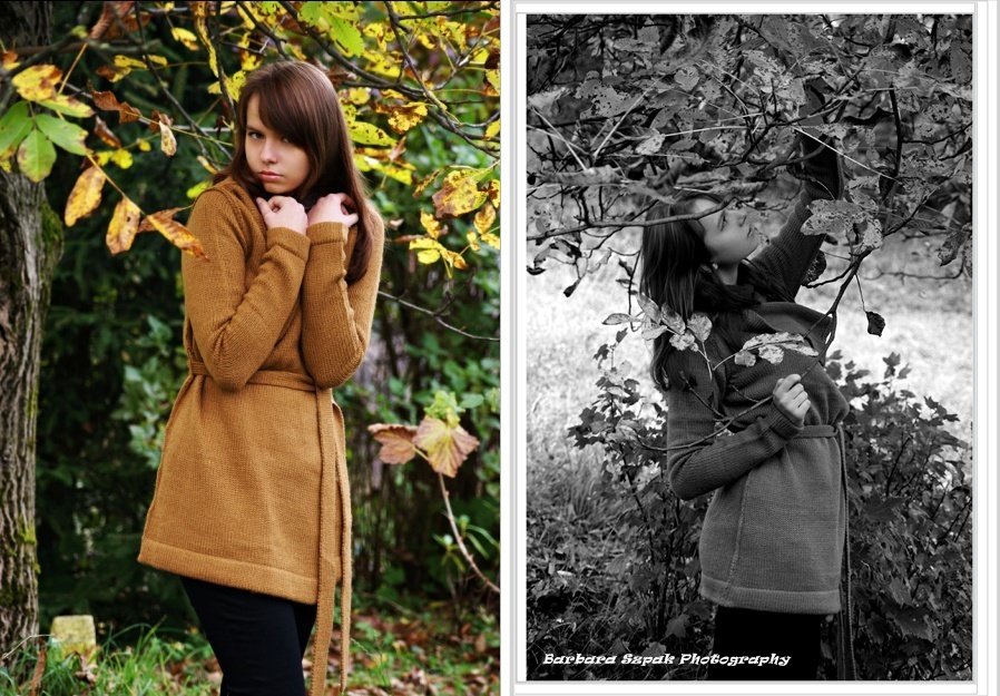 Late autumn