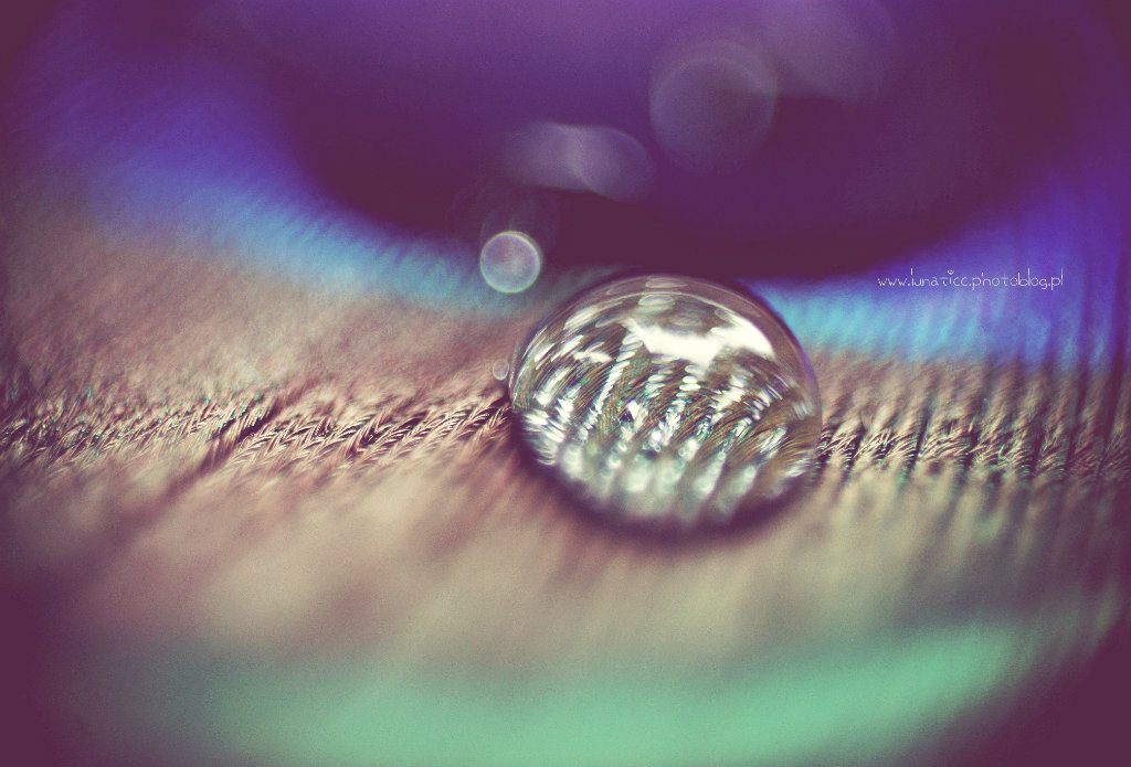 Drop.