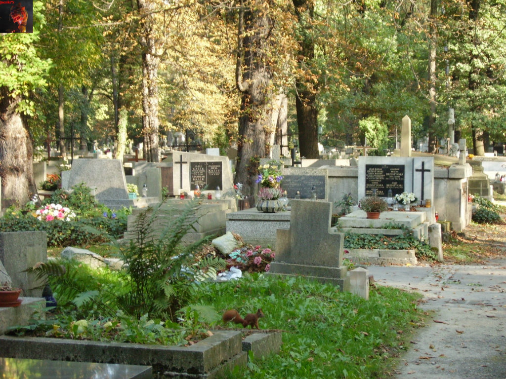 Krakw - Cmentarz Rakowicki