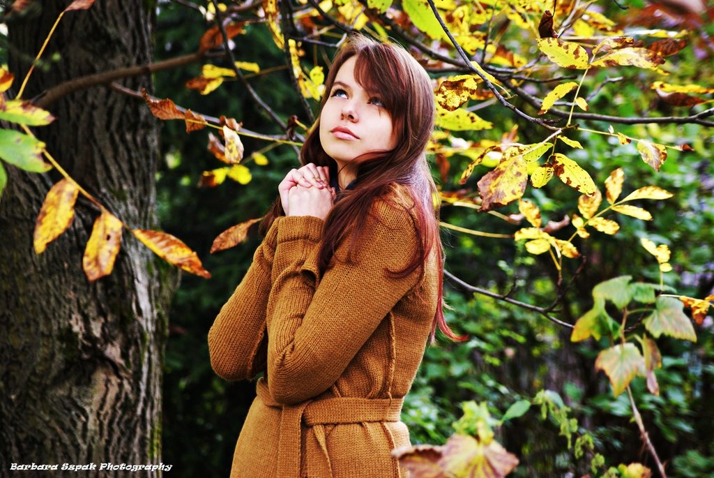Late autumn